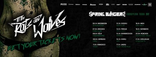 Spring Bangers