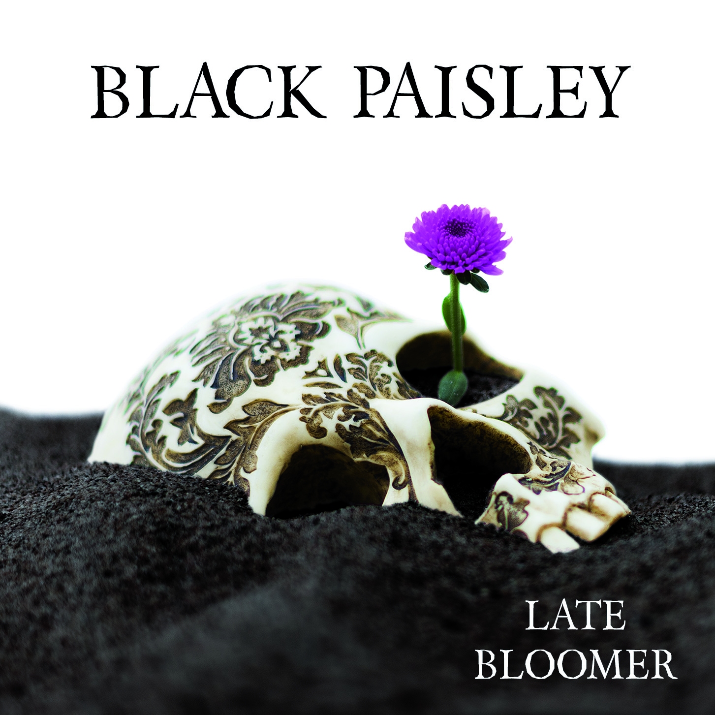 Black Paisley (S) – Late Bloomer