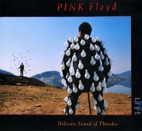 Pink Floyd (GB) – Delicate Sound Of Thunder (LP Reissue)