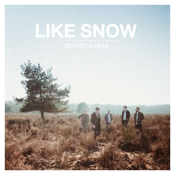 Like Snow (D) – Beauty & Fear