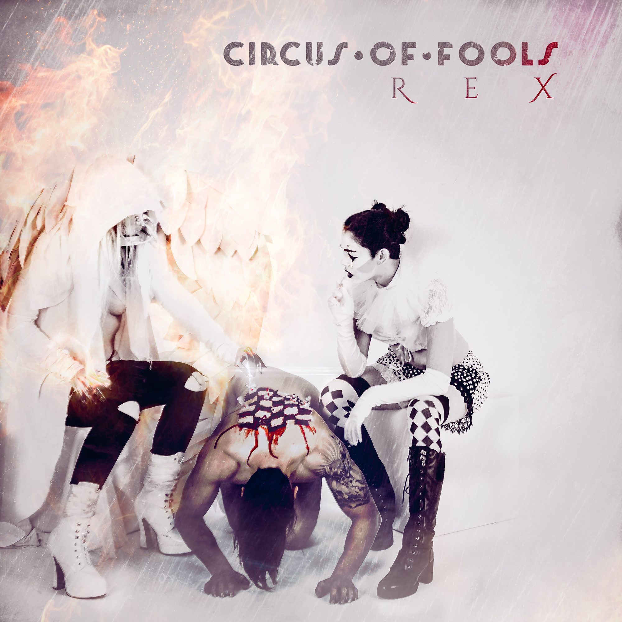 CIRCUS OF FOOLS (DE) – REX