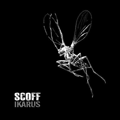 Scoff (D) – Ikarus