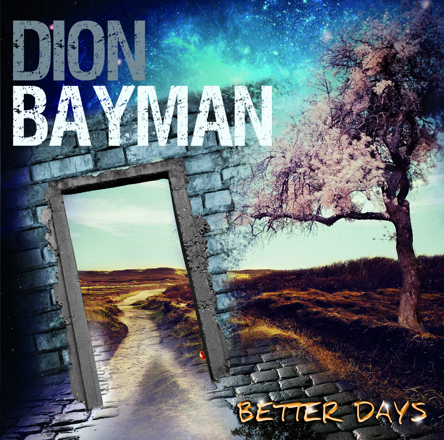 Dion Bayman (AUS) – Better Days