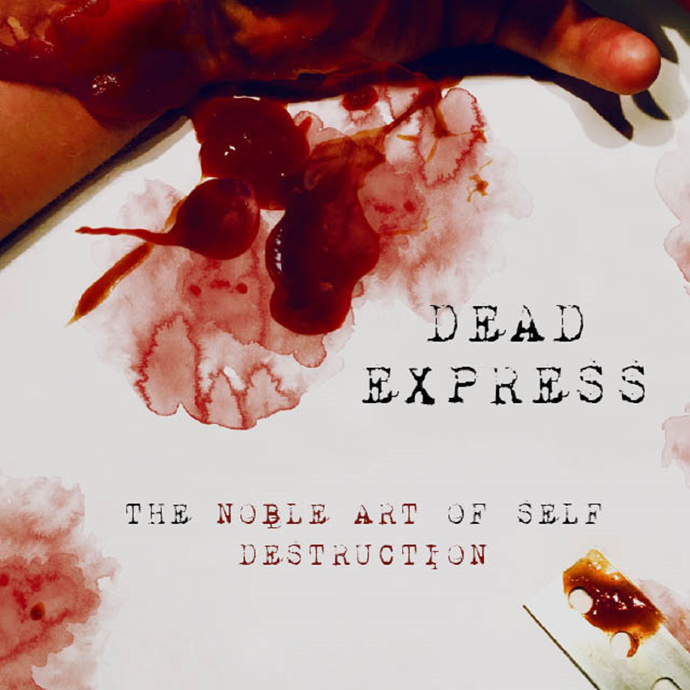 DEAD EXPRESS (SWE) – The Noble Art Of Self Destruction