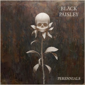 Black Paisley (S) – Perennials