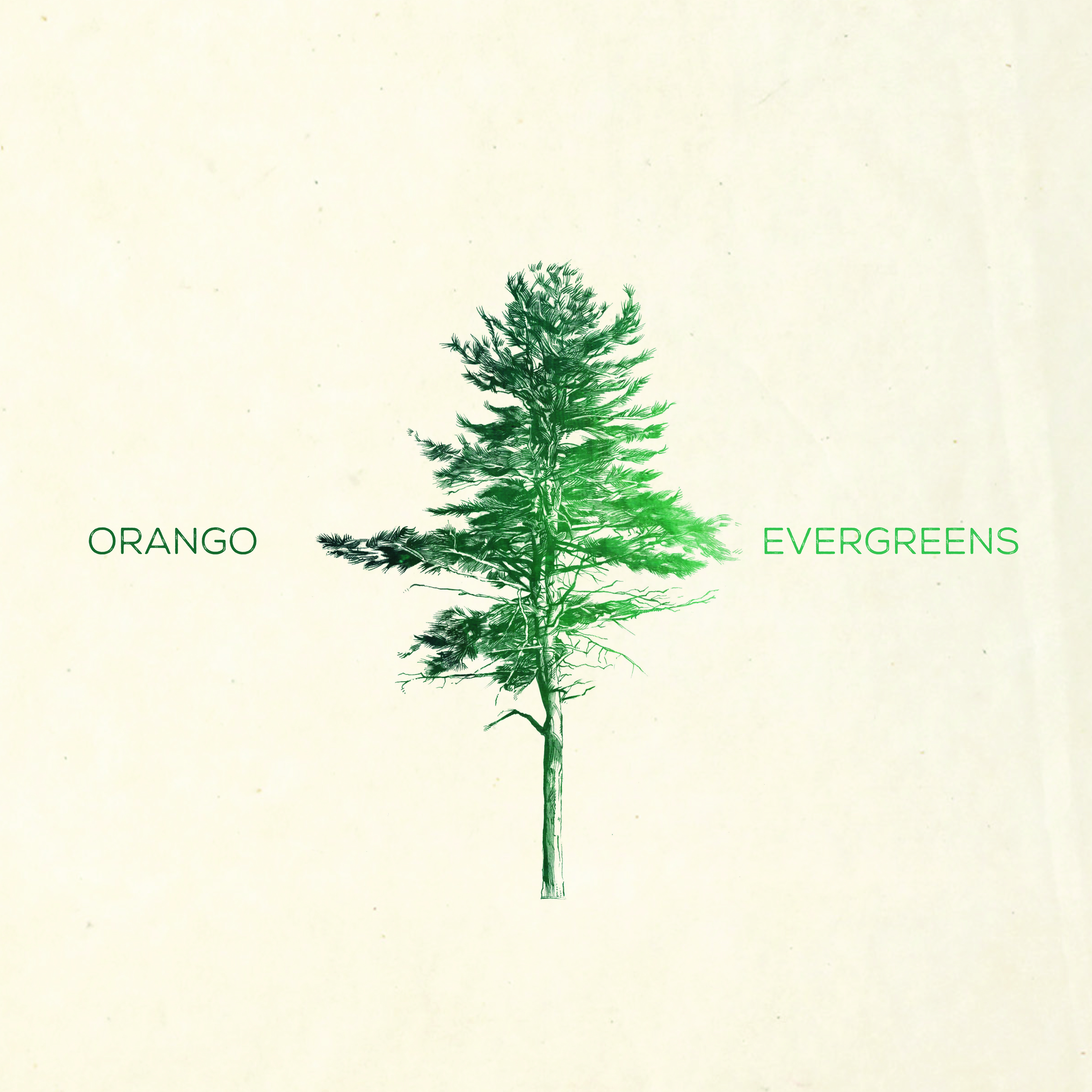ORANGO (NOR) – Evergreens