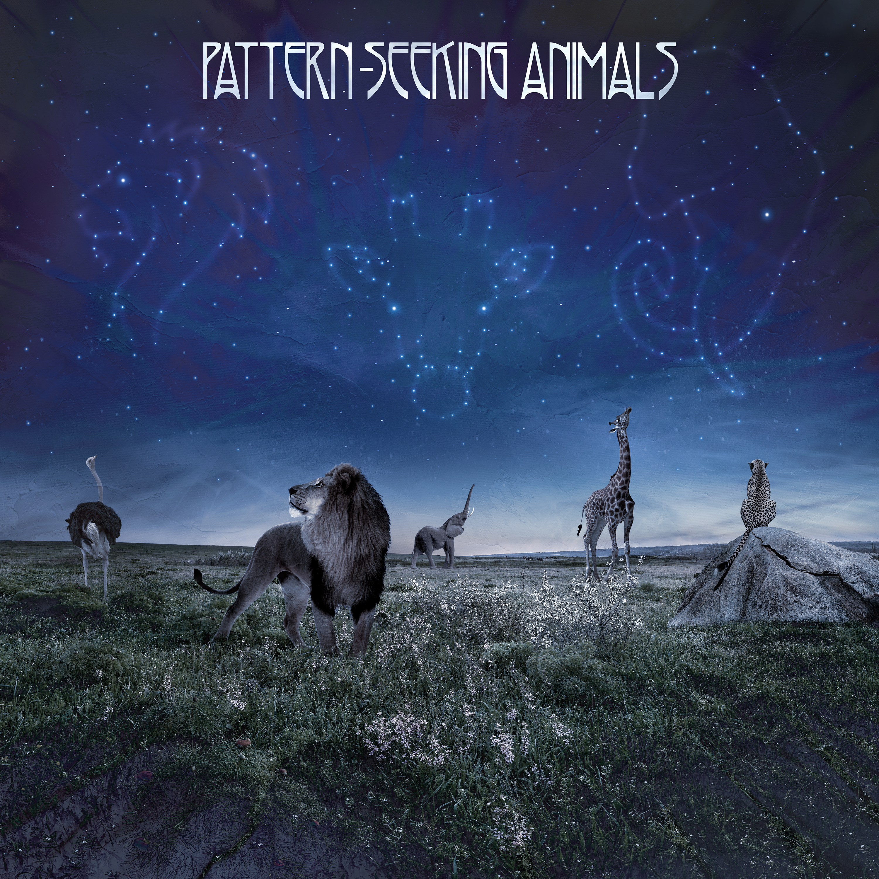 PATTERN-SEEKING ANIMALS (USA) – Pattern-Seeking Animals