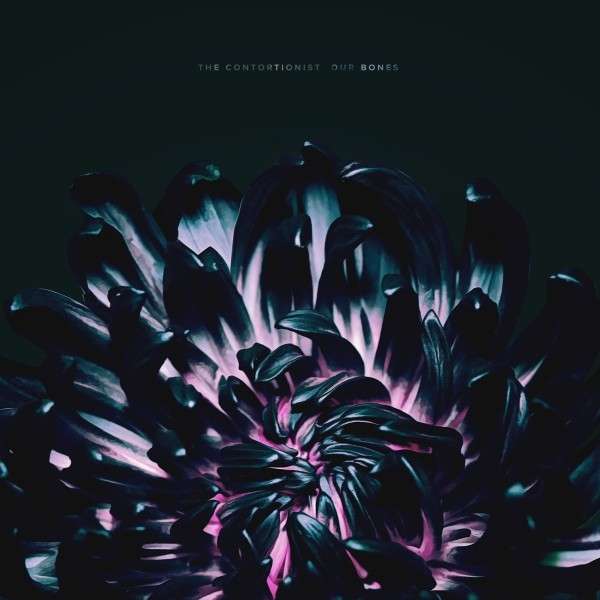 The Contortionist (USA) – Our Bones (EP)