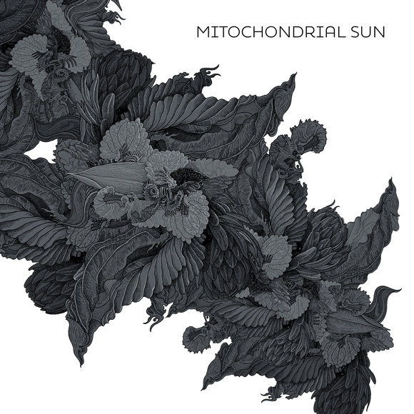 News: MITOCHONDRIAL SUN – Releases New Single From Upcoming Solo-Album
