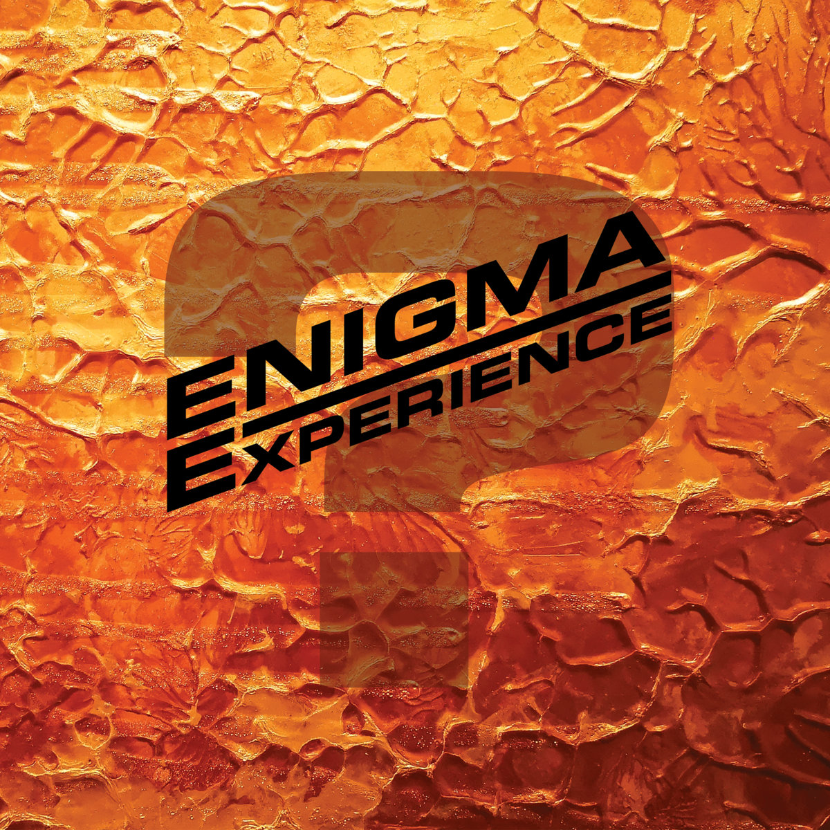 Enigma Experience (S/NO) – Question Mark