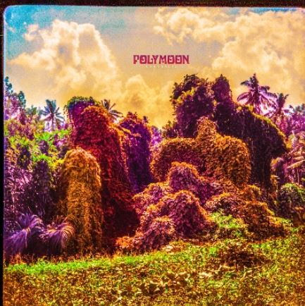 news: Robotor Records veröffentlicht Single ‘Set The Sun’ der finnischen psychedelic Band POLYMOON