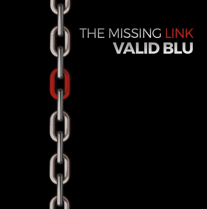 news: Am 30. Juni 2023 veröffentlichen VALID BLU ihr zweites Studioalbum „The Missing Link“!
