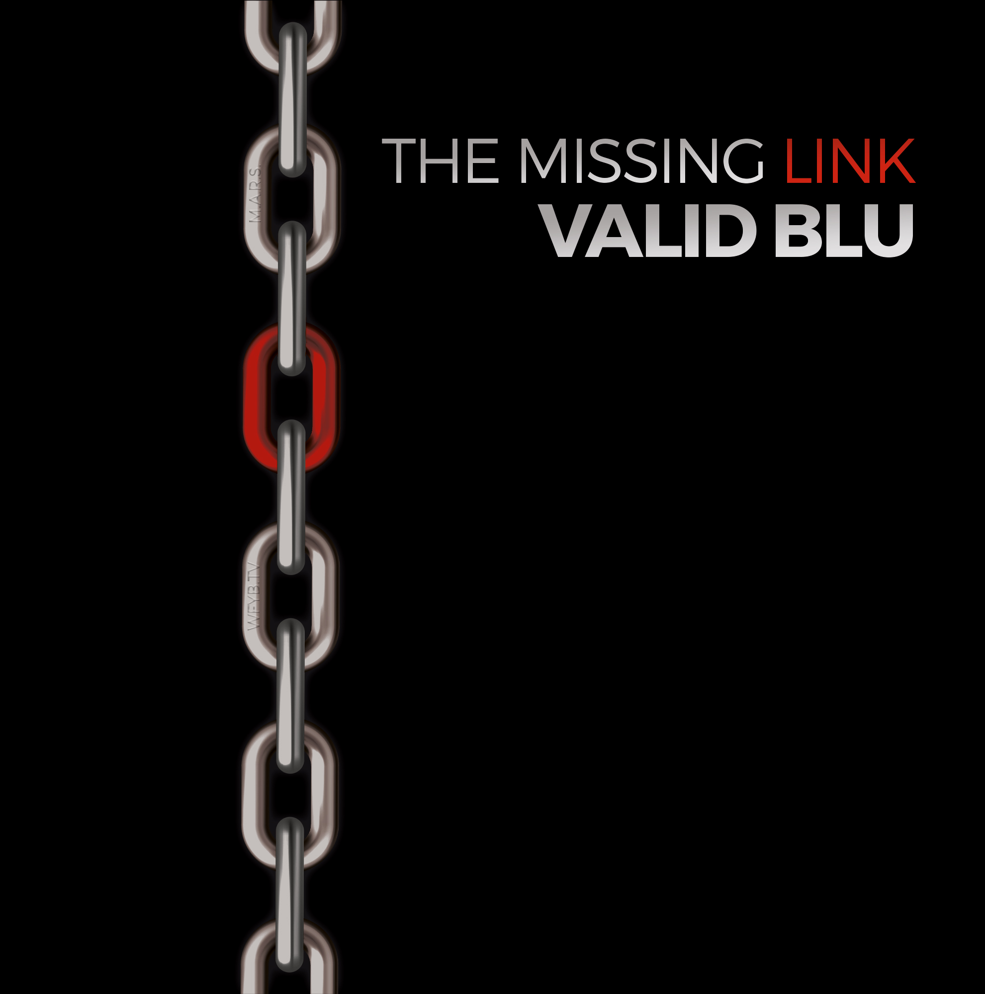 Valid Blu (D) – The Missing Link