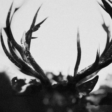 news: IHSAHN releases new single/video ‚The Distance Between Us‘ ahead of album release