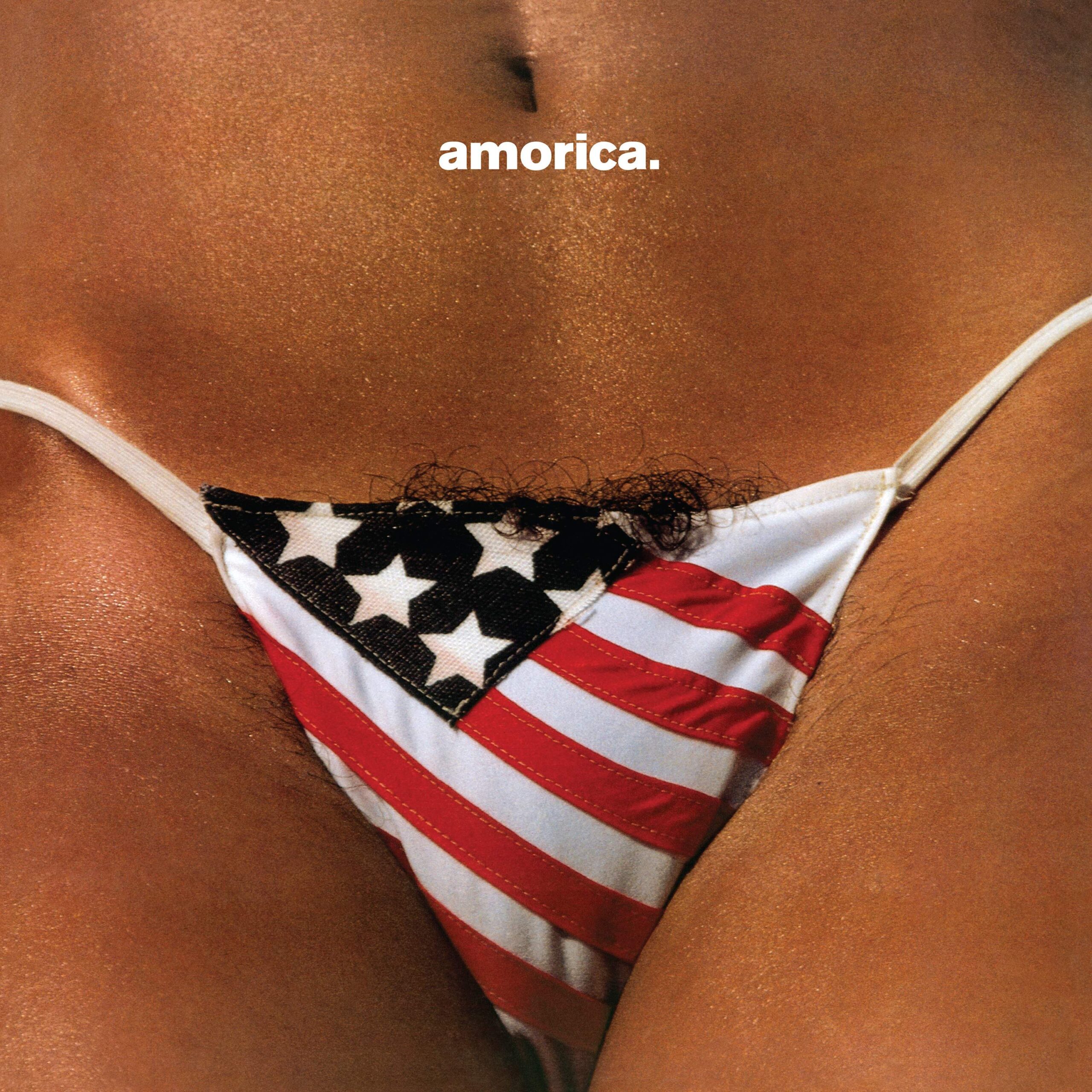The Black Crowes (USA) – Amorica